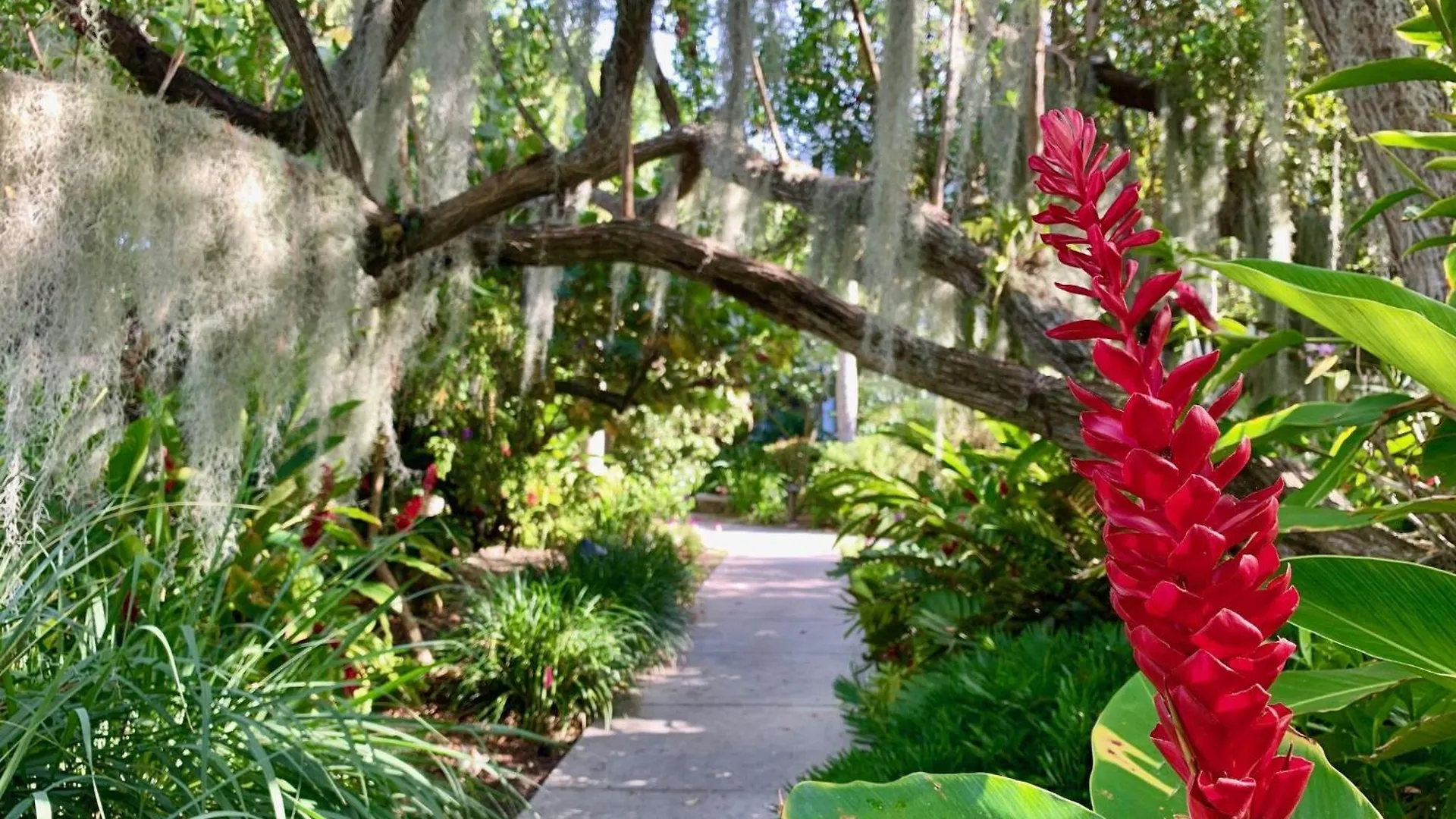 Appartamento Beautifully Renovated Summer Of 2020 Come And Enjoy This Lovely Unit Key West